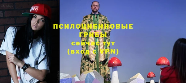 а пвп мука Дмитриев
