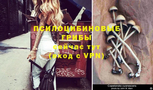 mdpv Аркадак
