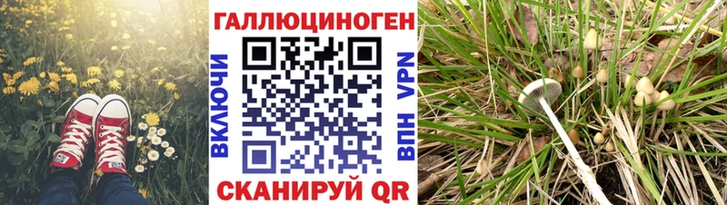 KRAKEN зеркало  Малоархангельск  Псилоцибиновые грибы прущие грибы 